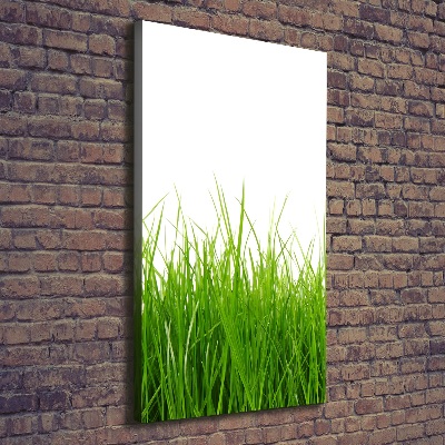 Quadro su tela canvas verticale Erba verde