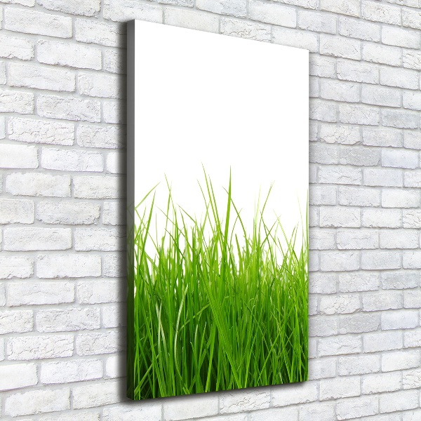 Quadro su tela canvas verticale Erba verde