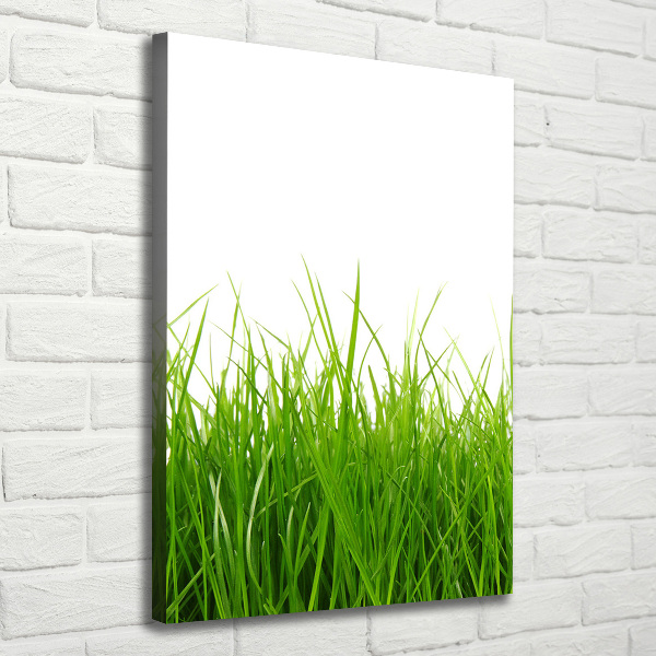 Quadro su tela canvas verticale Erba verde
