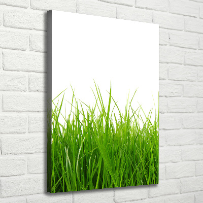 Quadro su tela canvas verticale Erba verde