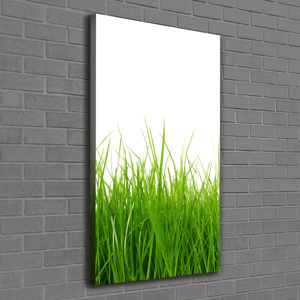 Quadro su tela canvas verticale Erba verde