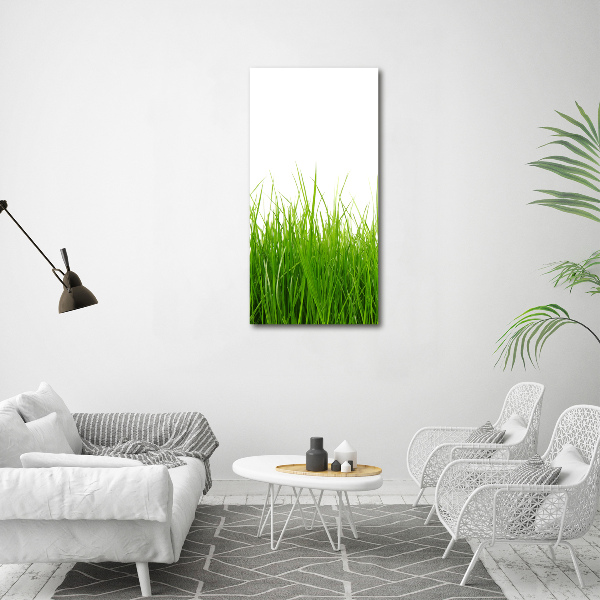 Quadro su tela canvas verticale Erba verde