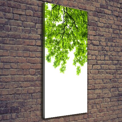 Stampa quadro su tela verticale Chioma dell'albero