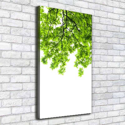 Stampa quadro su tela verticale Chioma dell'albero