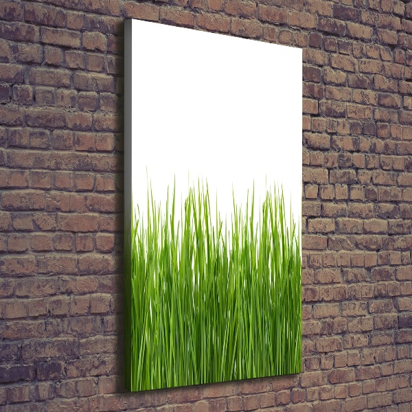 Quadro foto su tela verticale Erba verde