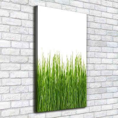 Quadro foto su tela verticale Erba verde