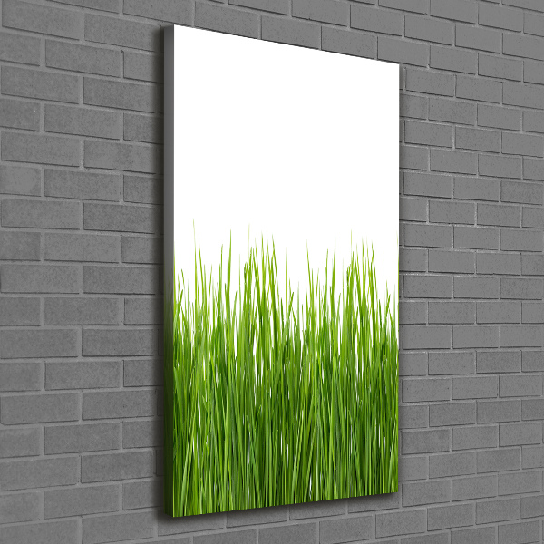 Quadro foto su tela verticale Erba verde
