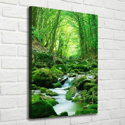 Quadro su tela canvas verticale Un ruscello nella giungla