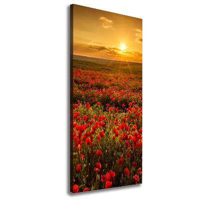 Stampa quadro su tela verticale Campo di papaveri