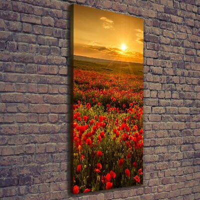Stampa quadro su tela verticale Campo di papaveri