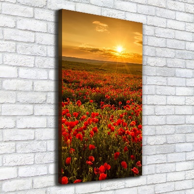 Stampa quadro su tela verticale Campo di papaveri