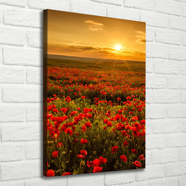 Stampa quadro su tela verticale Campo di papaveri