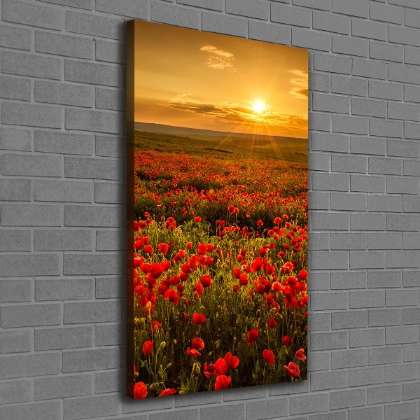 Stampa quadro su tela verticale Campo di papaveri