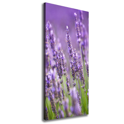 Quadro su tela canvas verticale Campo di lavanda