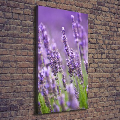 Quadro su tela canvas verticale Campo di lavanda
