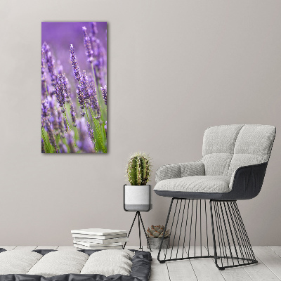 Quadro su tela canvas verticale Campo di lavanda