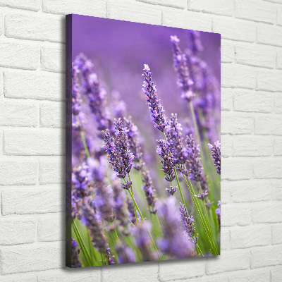 Quadro su tela canvas verticale Campo di lavanda