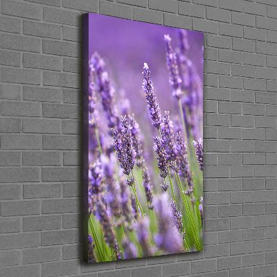 Quadro su tela canvas verticale Campo di lavanda