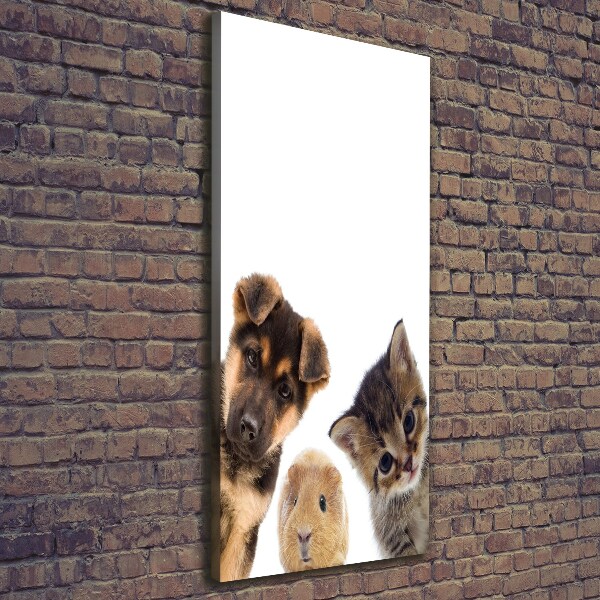Quadro su tela canvas verticale Animali domestici