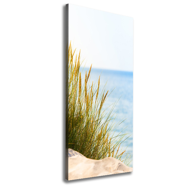 Quadro su tela canvas verticale Dune costiere