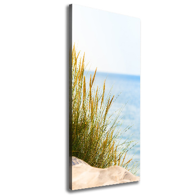 Quadro su tela canvas verticale Dune costiere