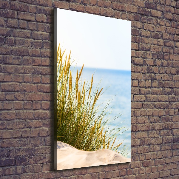 Quadro su tela canvas verticale Dune costiere