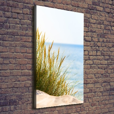 Quadro su tela canvas verticale Dune costiere
