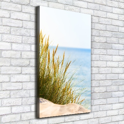 Quadro su tela canvas verticale Dune costiere