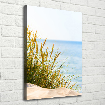 Quadro su tela canvas verticale Dune costiere