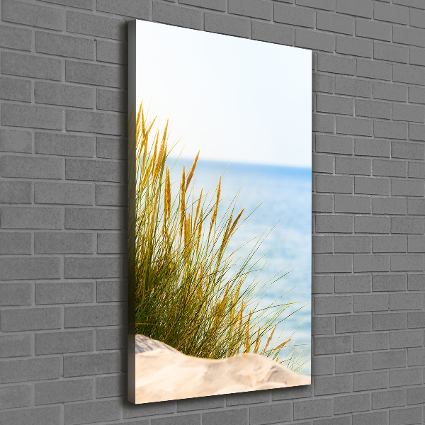Quadro su tela canvas verticale Dune costiere