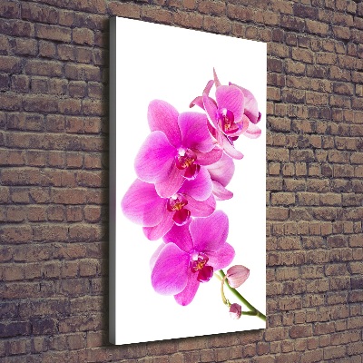 Quadro foto su tela verticale Orchidea rosa