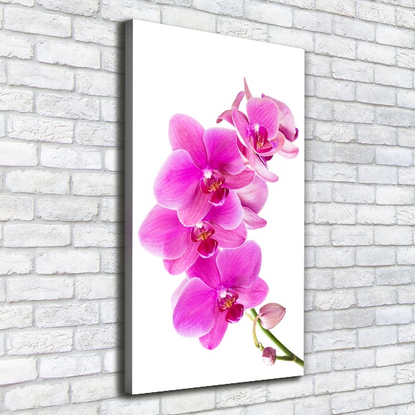 Quadro foto su tela verticale Orchidea rosa