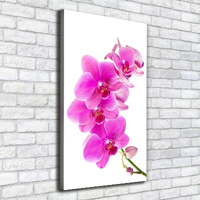 Quadro foto su tela verticale Orchidea rosa