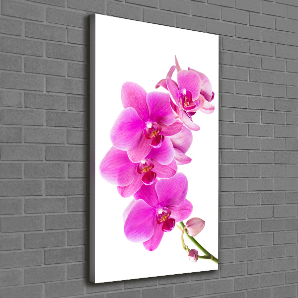 Quadro foto su tela verticale Orchidea rosa