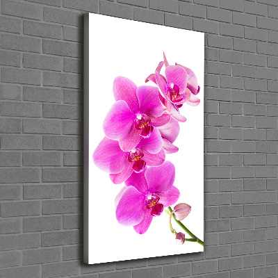 Quadro foto su tela verticale Orchidea rosa