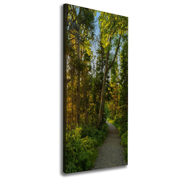 Quadro su tela canvas verticale Sentiero nella foresta