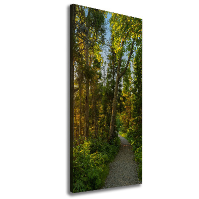 Quadro su tela canvas verticale Sentiero nella foresta