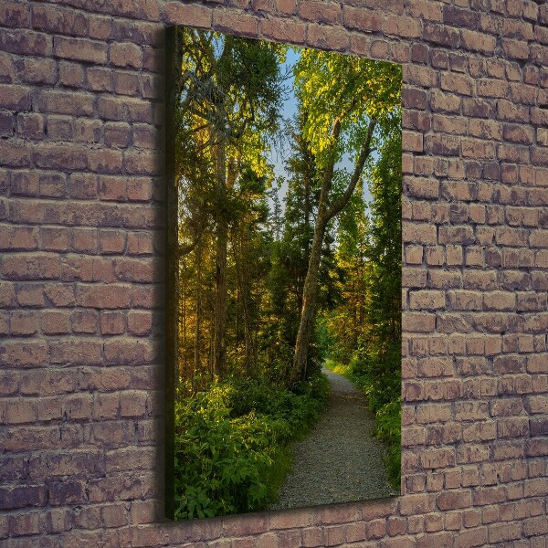 Quadro su tela canvas verticale Sentiero nella foresta