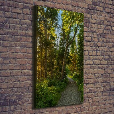 Quadro su tela canvas verticale Sentiero nella foresta