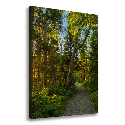 Quadro su tela canvas verticale Sentiero nella foresta