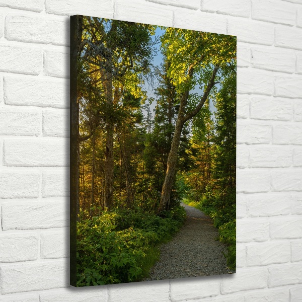 Quadro su tela canvas verticale Sentiero nella foresta