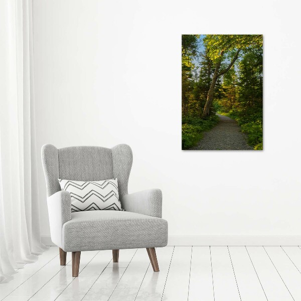 Quadro su tela canvas verticale Sentiero nella foresta