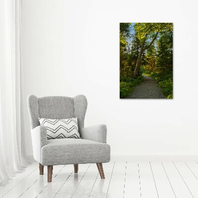 Quadro su tela canvas verticale Sentiero nella foresta