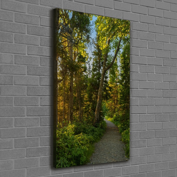 Quadro su tela canvas verticale Sentiero nella foresta