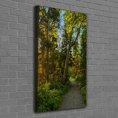 Quadro su tela canvas verticale Sentiero nella foresta