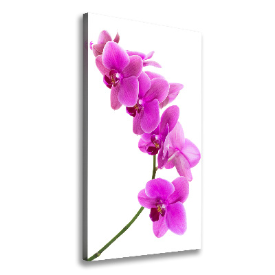 Quadro su tela canvas verticale Orchidea rosa
