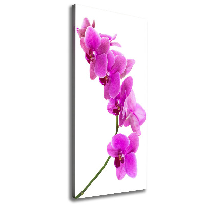 Quadro su tela canvas verticale Orchidea rosa