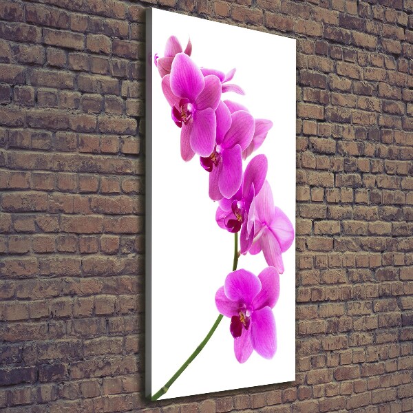 Quadro su tela canvas verticale Orchidea rosa