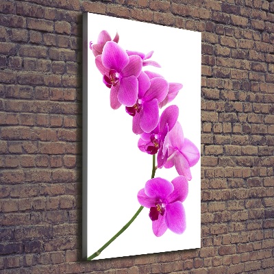 Quadro su tela canvas verticale Orchidea rosa