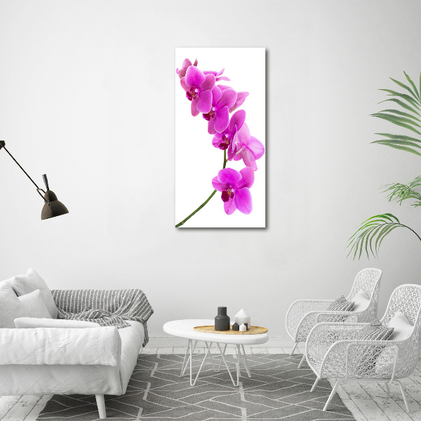 Quadro su tela canvas verticale Orchidea rosa